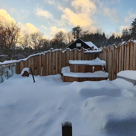 Wlodgeone Braunlage Eksteriør billede
