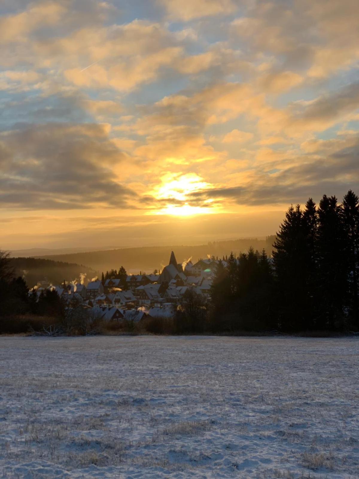 Wlodgeone Braunlage Eksteriør billede